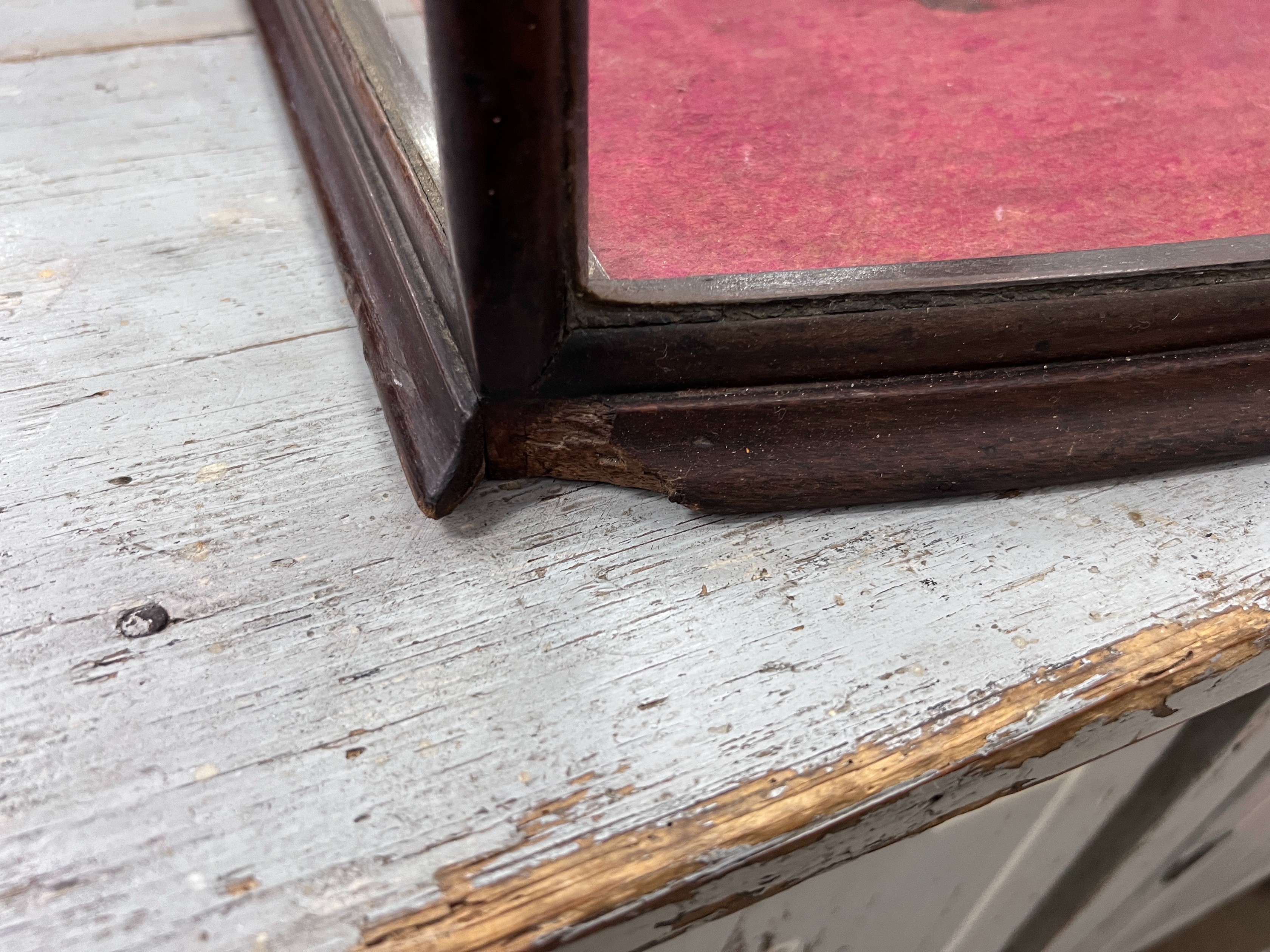 A late Victorian mahogany table top shop display cabinet, width 61cm, height 96cm *Please note the sale commences at 9am.